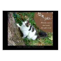 Motivation Life Lessons From a Cat ACEO Art Cards