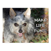 Motivation: Live Life to the Fullest 2012 Calendar Post Cards