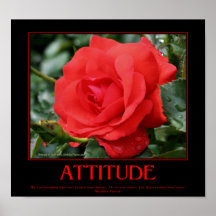 Motivational Attitude Poster Roses Thorns Quote