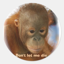 Motivational Love for All Animal Life Stickers