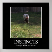 Motivational Poster, INSTINCTS