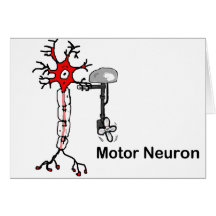 Motor Neuron Greeting Cards