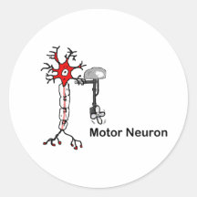 Motor Neuron Round Sticker