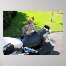 Motorcycle Pooch Poster
