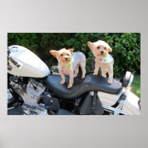 Motorcycle Pooches Posters