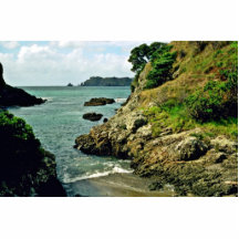 Motorua Island, Bay Of Islands Acrylic Cut Out
