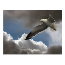 MOUETTE EN NUAGES CARTES POSTALES