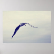 Mouette Posters
