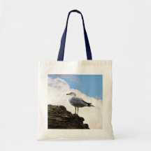 Mouette sur un mur de briques à Rome Sacs