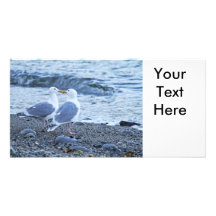 Mouettes embrassant sur la photo de plage photocarte personnalisée