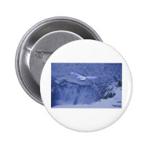 Moulton Falls Washington - Snowy Owl Spirit Pins