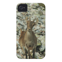 Mounain Goats In Castille iPhone 4 Cover