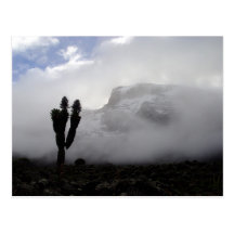 Mount Kilimanjaro (landscape) Postcard