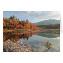 Mount Monadnock Perkins Pond Foliage and Asters Greeting Cards