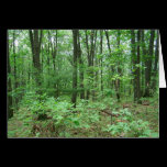 Mount Nittany Note Cards cards