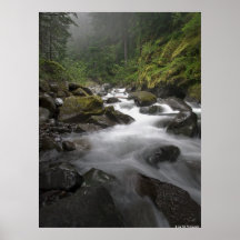 Mount Rainier Stream Posters