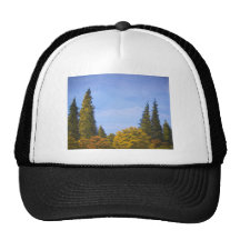 Mount Redoubt Trucker Hats