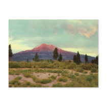 Mount Shasta Vintage Postcard