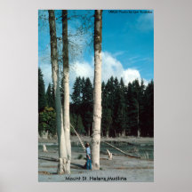 Mount St. Helens Mudline Posters