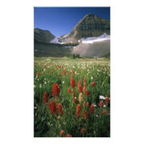 MOUNT TIMPANOGOS WILDERNESS, UT, US,