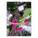 Mountain Apple Blossoms cards