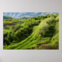 Mountain Apple Orchard Poster