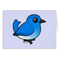 Mountain Bluebird