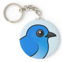 Mountain Bluebird