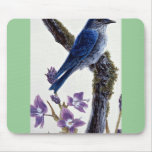 Mountain bluebird mouse pad