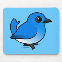 Mountain Bluebird