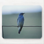 Mountain Bluebird Mousepad
