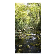 Mountain Creek Photo Greeting Card