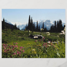 Mountain flowers in bloom, British Columbia, Canad Flyer Design