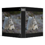 mountain goat 3 ring binders