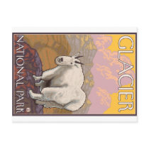 Mountain Goat - Glacier National Park, MT