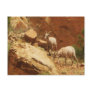 Mountain Goats Post Card