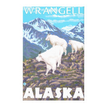 Mountain Goats Scene - Wrangell, Alaska Stretched Canvas Prints
