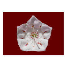 Mountain Laurel 48 ~ ATC card Business Card Template