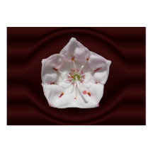 Mountain Laurel porthole ~ ATC card Business Card Templates