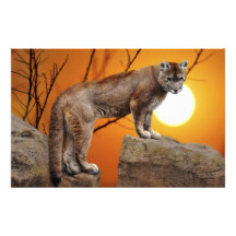 Mountain lion at sunset stationery paper