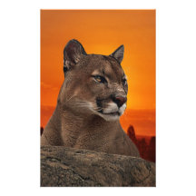 Mountain lion at sunset stationery paper