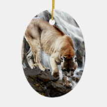 Mountain lion at the waterfall christmas ornaments