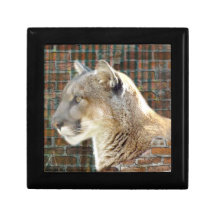 Mountain Lion / Cougar Trinket Boxes