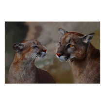 Mountain lions in love stationery design