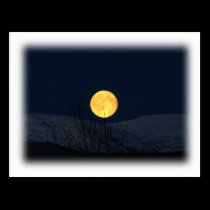 Mountain Moon postcards