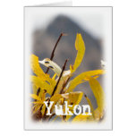 Mountain of Leaves; Yukon Territory Souvenir Card