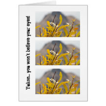 Mountain of Leaves; Yukon Territory Souvenir Greeting Card