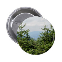 Mountain Pines