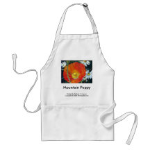 Mountain Poppy, Apron