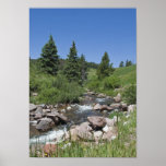 Mountain Stream Poster Print